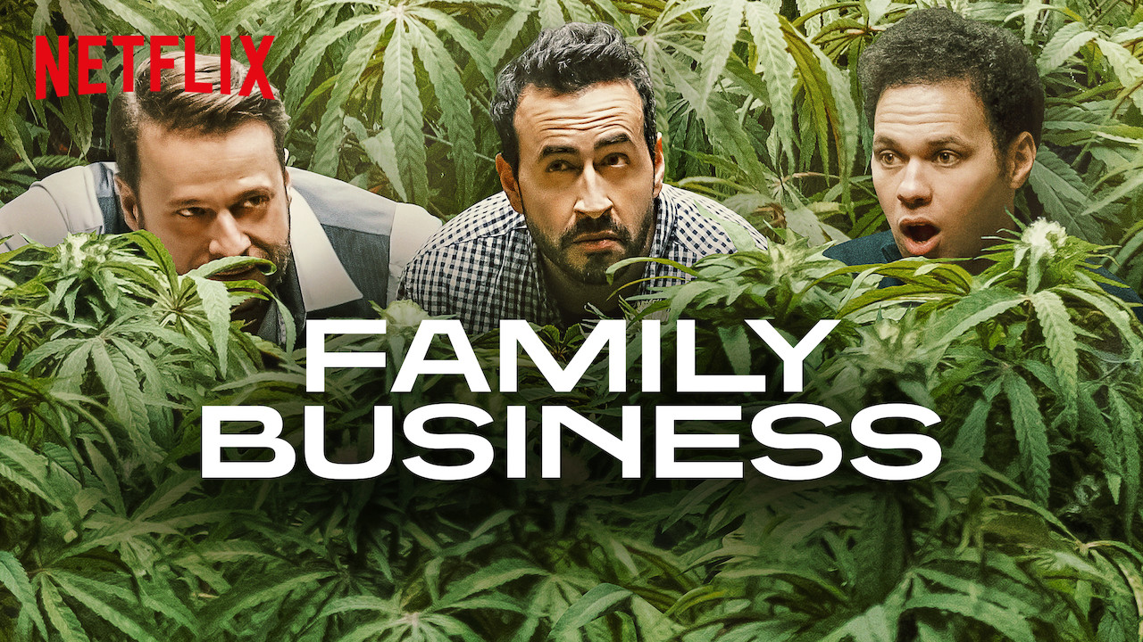 Résultat de recherche d'images pour "family business netflix"