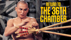 Return to the 36th Chamber