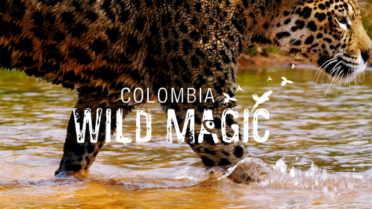 2015 Colombia: Wild Magic 2015 Colombia: Wild Magic