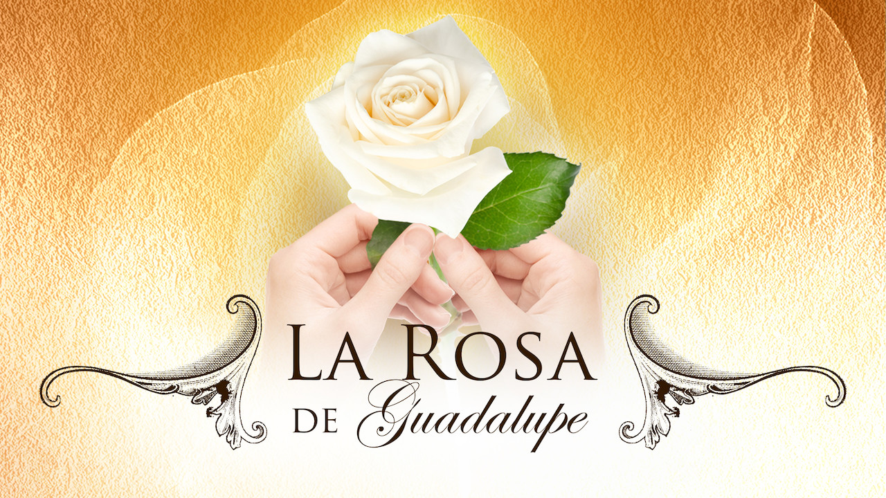 la rosa de guadalupe episodes 2008