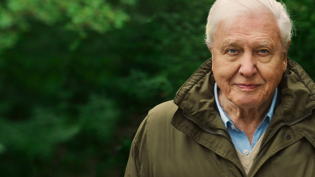 David Attenborough Mein Leben Auf Unserem Planeten Netflix Offizielle Webseite