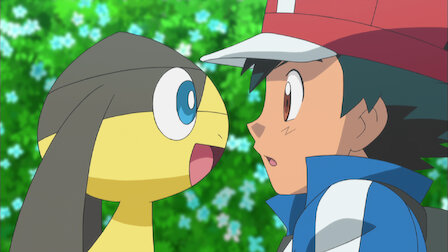 Pokemon The Series Xy Netflix Pokemon The Series Xy Netflix