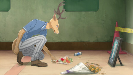 Beastars Netflix Official Site Beastars Netflix Official Site