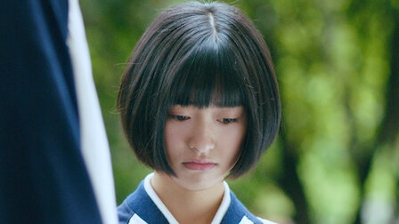 A Love So Beautiful Netflix