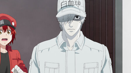 Watch Cells At Work Netflix