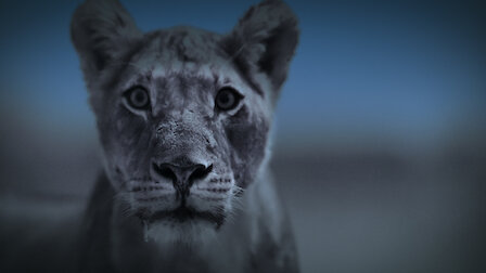 after earth movie animals after earth movie animals