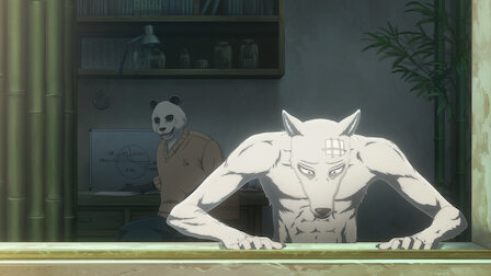 Beastars Netflix Official Site Beastars Netflix Official Site