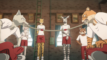 Beastars Netflix Beastars Netflix