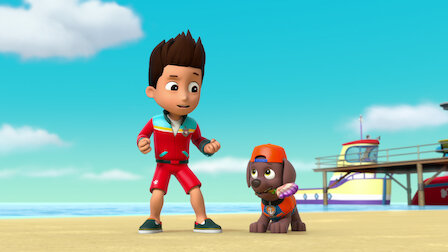 paw patrol ryder sea patrol