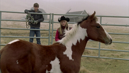 Heartland Netflix - 