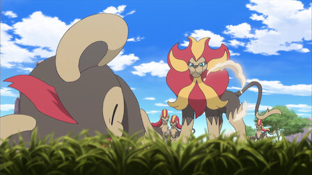 Pokemon The Series Xy Netflix Pokemon The Series Xy Netflix