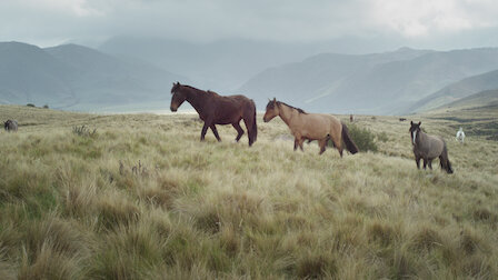 Watch Chile and Argentina, from the  Aconcagua to the desert. Episode 2 of Season 1.