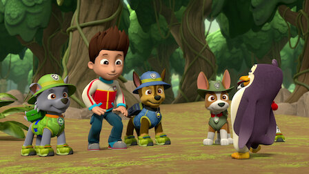 paw patrol forest