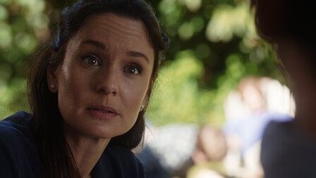 プリズン ブレイク Netflix