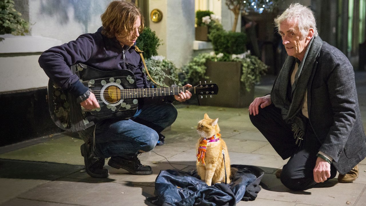 Watch A Street Cat Named Bob Netflix