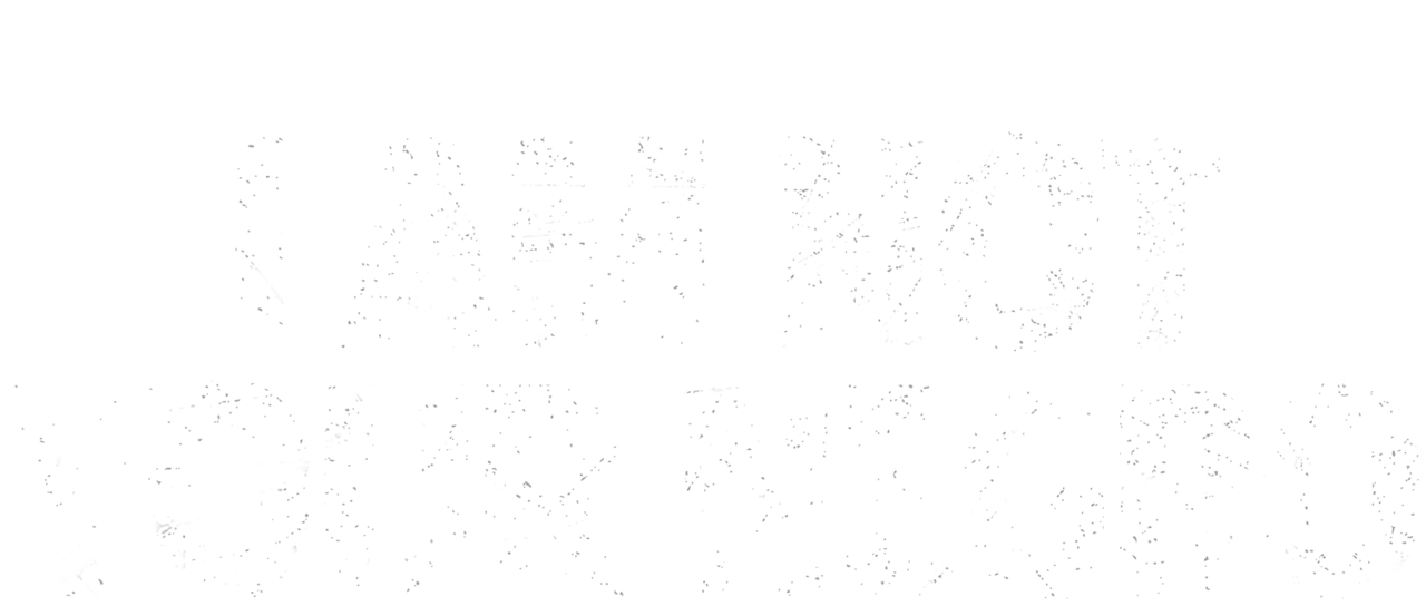 I Am Not Your Negro Netflix I Am Not Your Negro Netflix