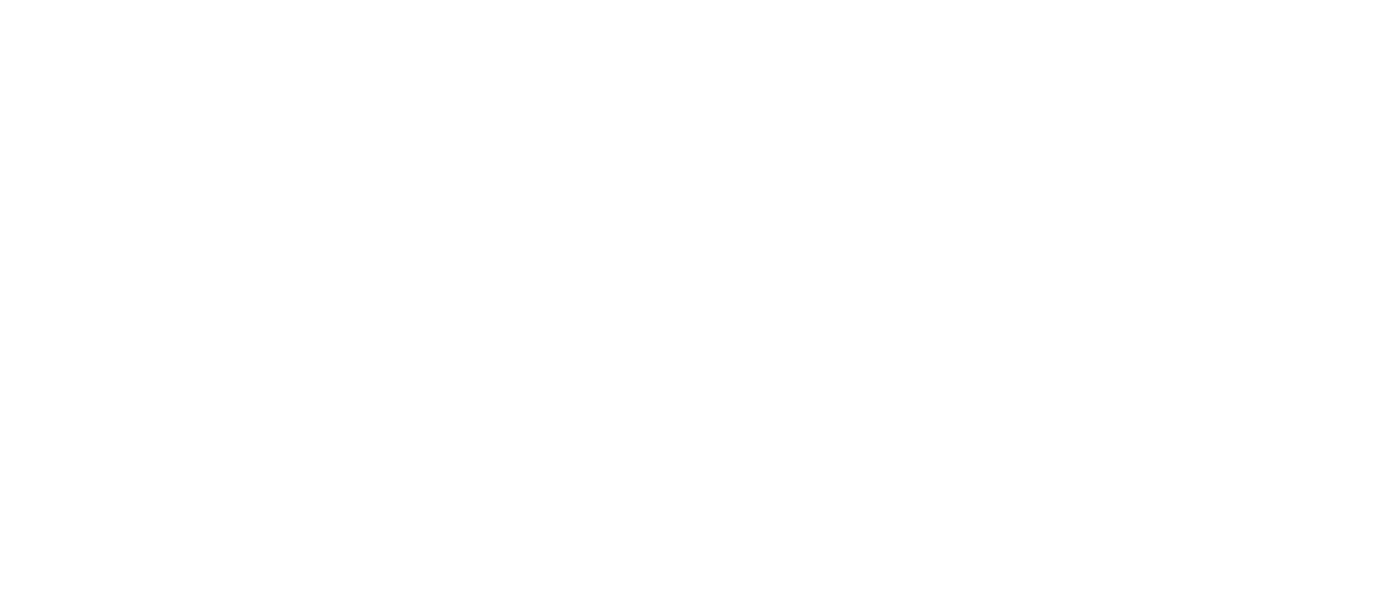 the good doctor sur netflix