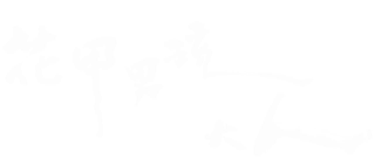 花甲男孩转大人 Netflix
