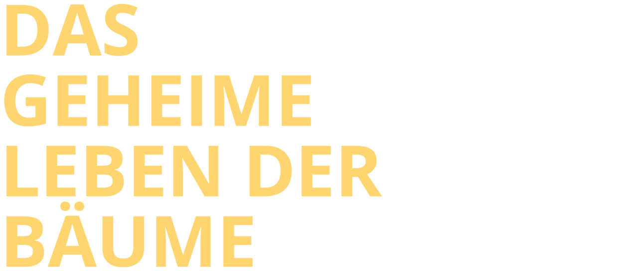 Das Geheime Leben Der Baume Im Limitierten Mediabook Filme De