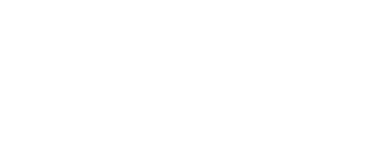 チャイニーズ オデッセイ 其の弐 Netflix