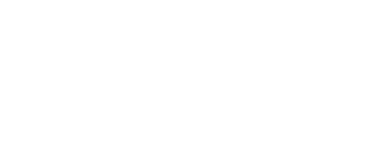 第四共和政 闇に光を Netflix