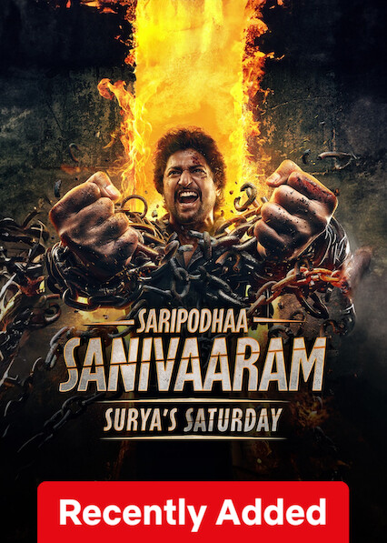 Saripodhaa Sanivaaram on Netflix USA